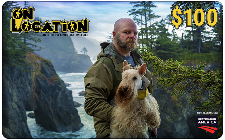 Gift Cards (multiple amounts)