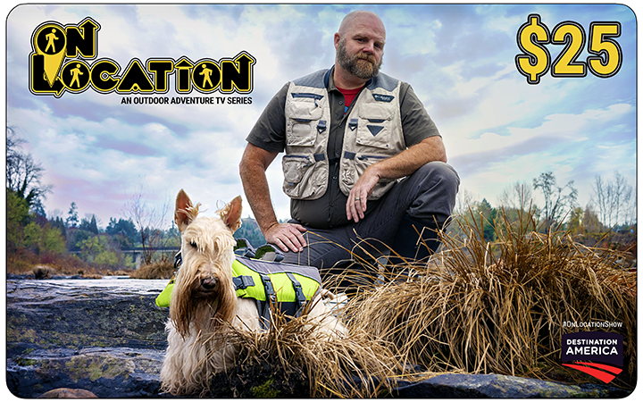 Gift Cards (multiple amounts)