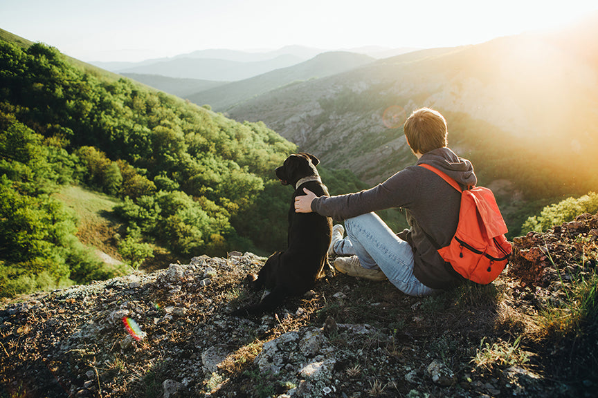 Top 5 things to know about hiking with your pooch